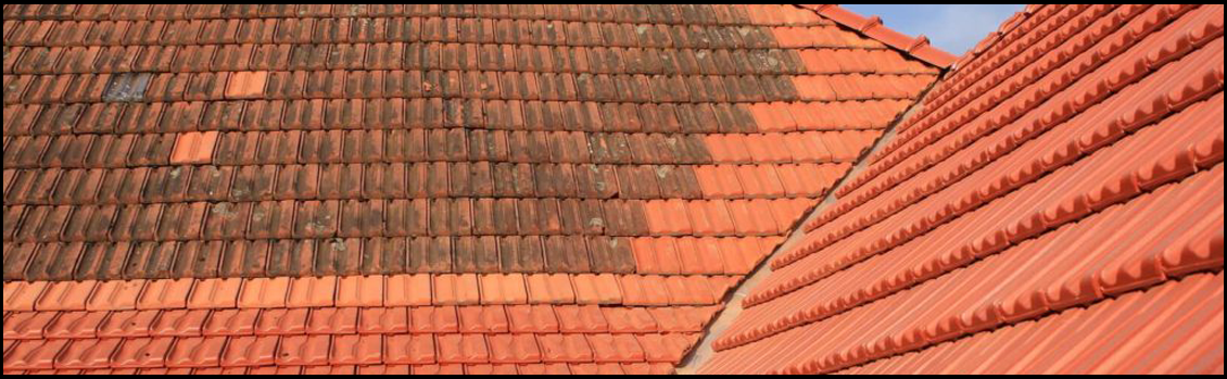 Démoussage et traitement toitures par drone spécialisé - Toulouse OCCITANIE